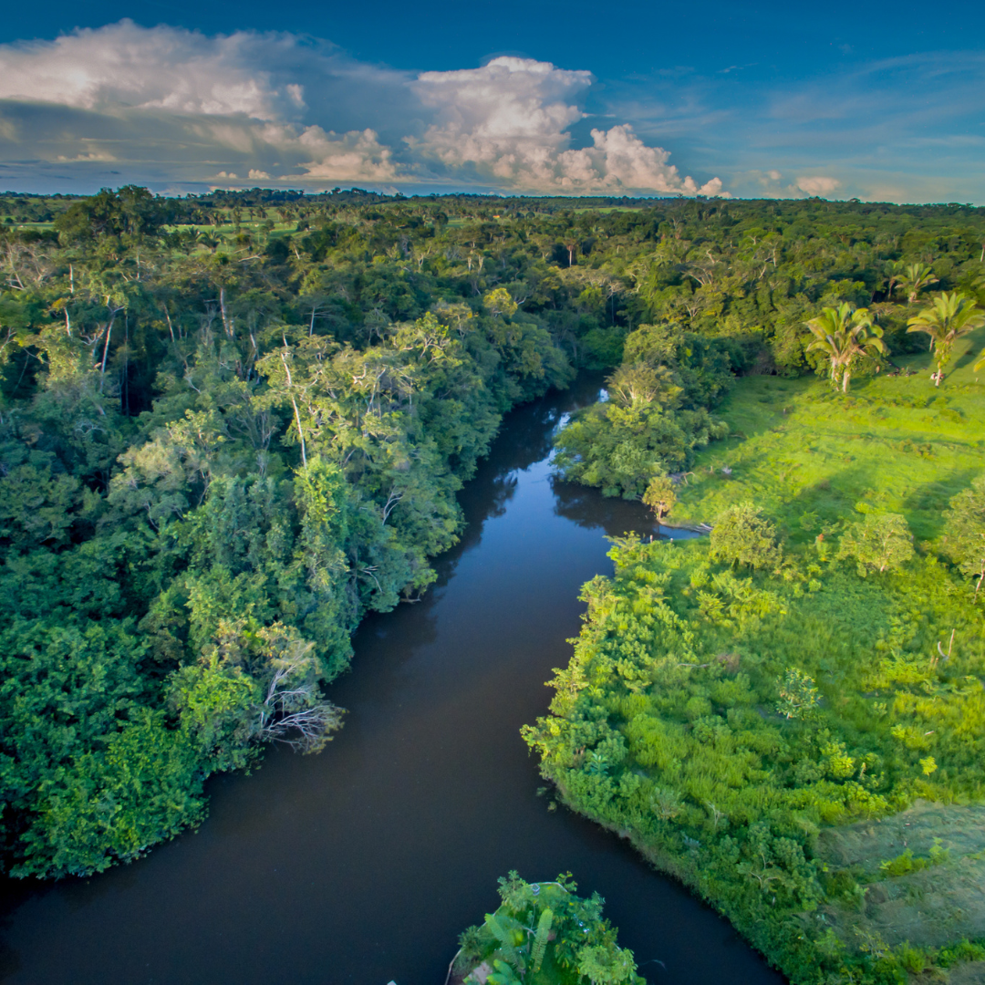 Revitalização Financeira: Destravando o Potencial Sustentável da Amazônia